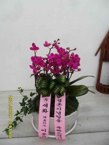 21��5��6��(�����)