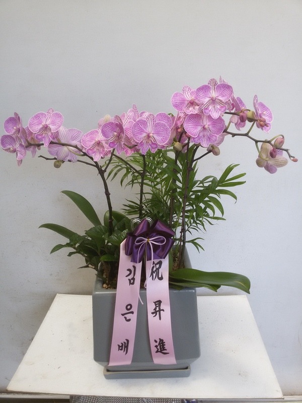 21��5��6��(�����)