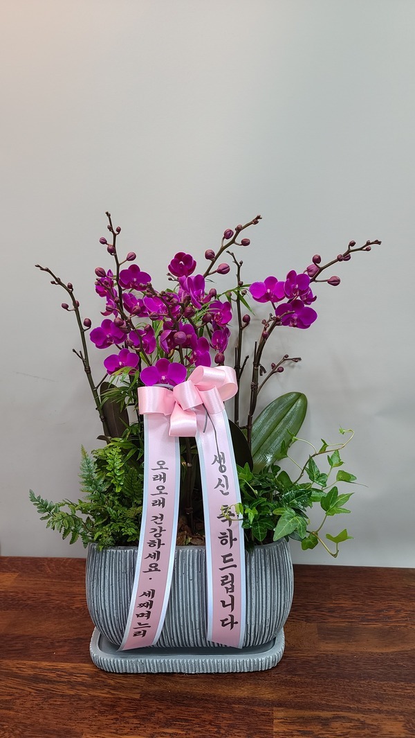 21��5��6��(�����)