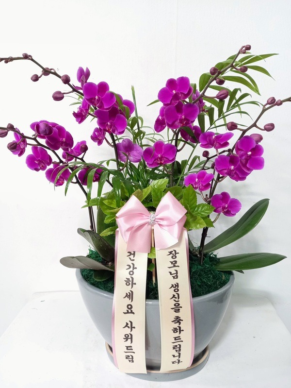 21��5��6��(�����)