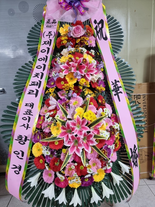 2021��11��26��(��)