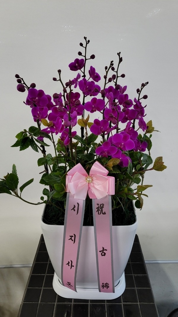 2021��11��26��(��)