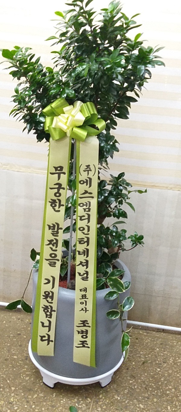 2021��11��26��(��)