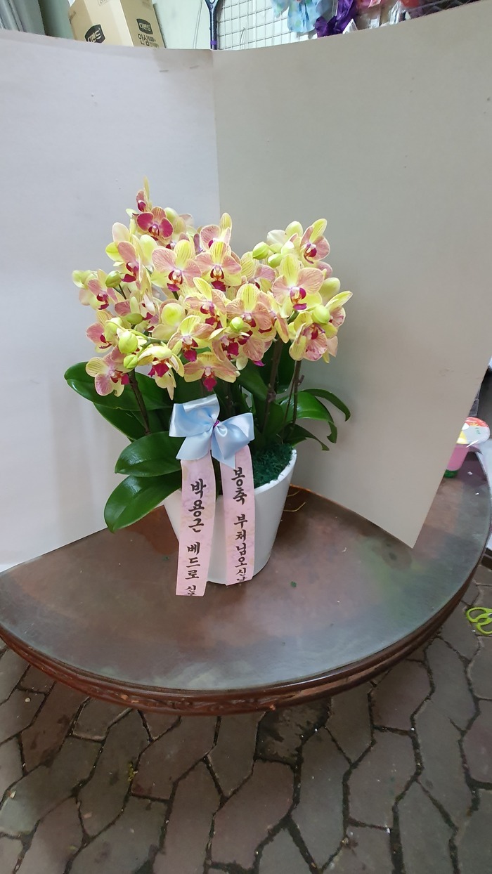 22��5��6��(�ݿ���)