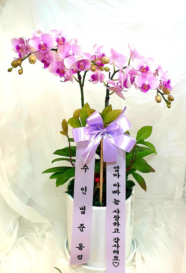 22��5��6��(�ݿ���)