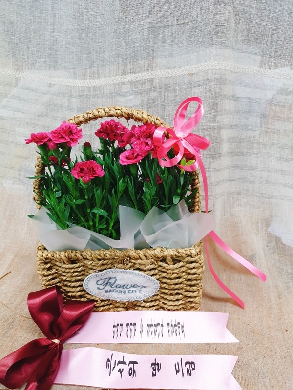 22��5��6��(�ݿ���)