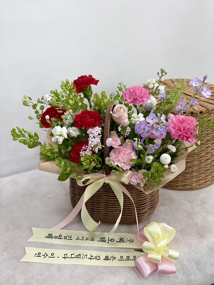 23��5��5��(��)