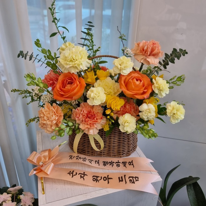 23��5��5��(��)