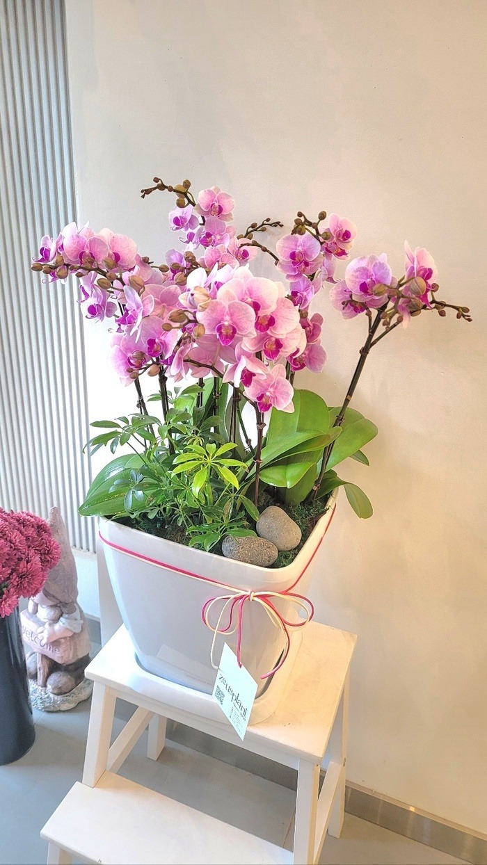 23��5��5��(��)