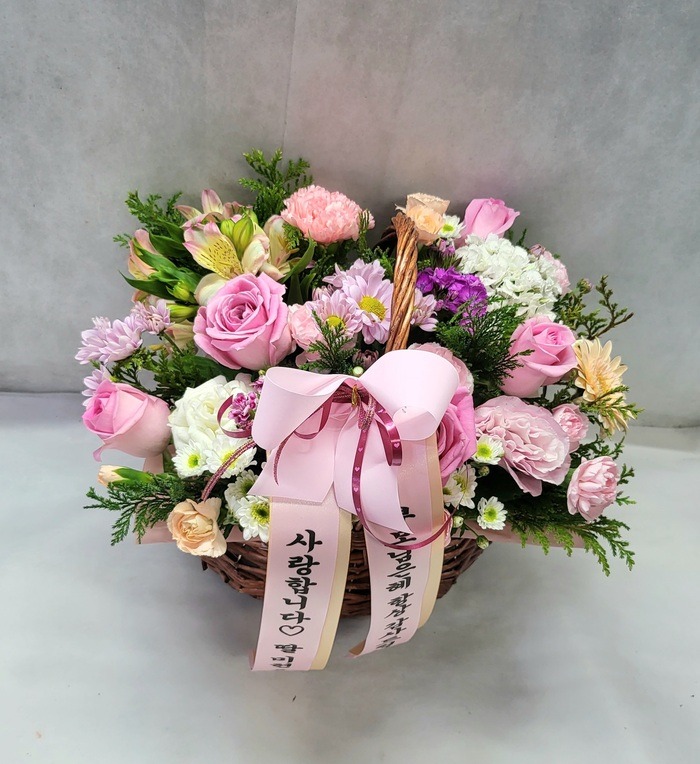 23��5��5��(��)